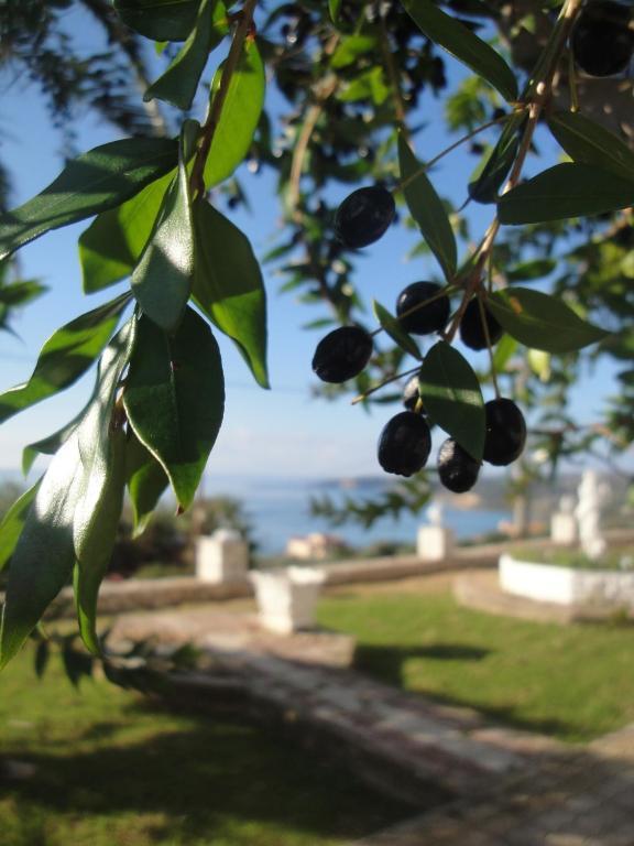 Ocean Front Studios 77 Лурдата Екстериор снимка